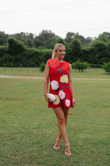Floral Embroidered Mini Dress-Red